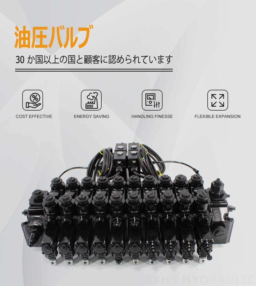 DCV150-10-NPT 手動および電磁油圧式 10スプール セクショナル方向弁